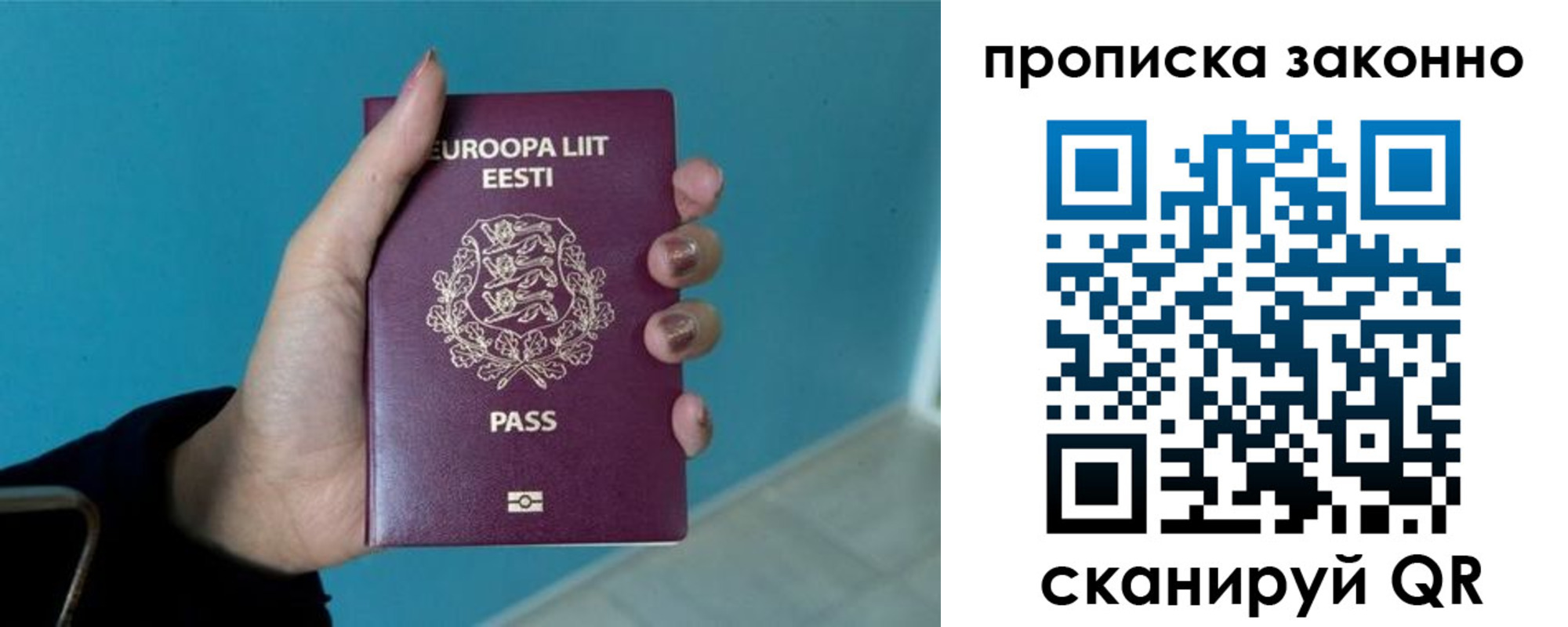 прописка гарантия в Вязьме